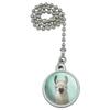 GRAPHICS & MORE Hip Llama with Glasses Ceiling Fan and Light Pull Chain view 1