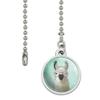 GRAPHICS & MORE Hip Llama with Glasses Ceiling Fan and Light Pull Chain view 2