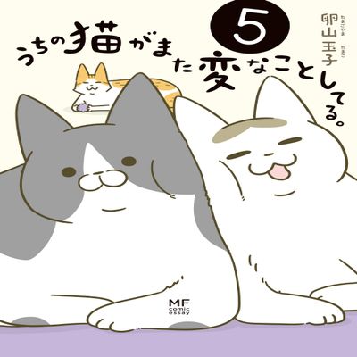 5 ()