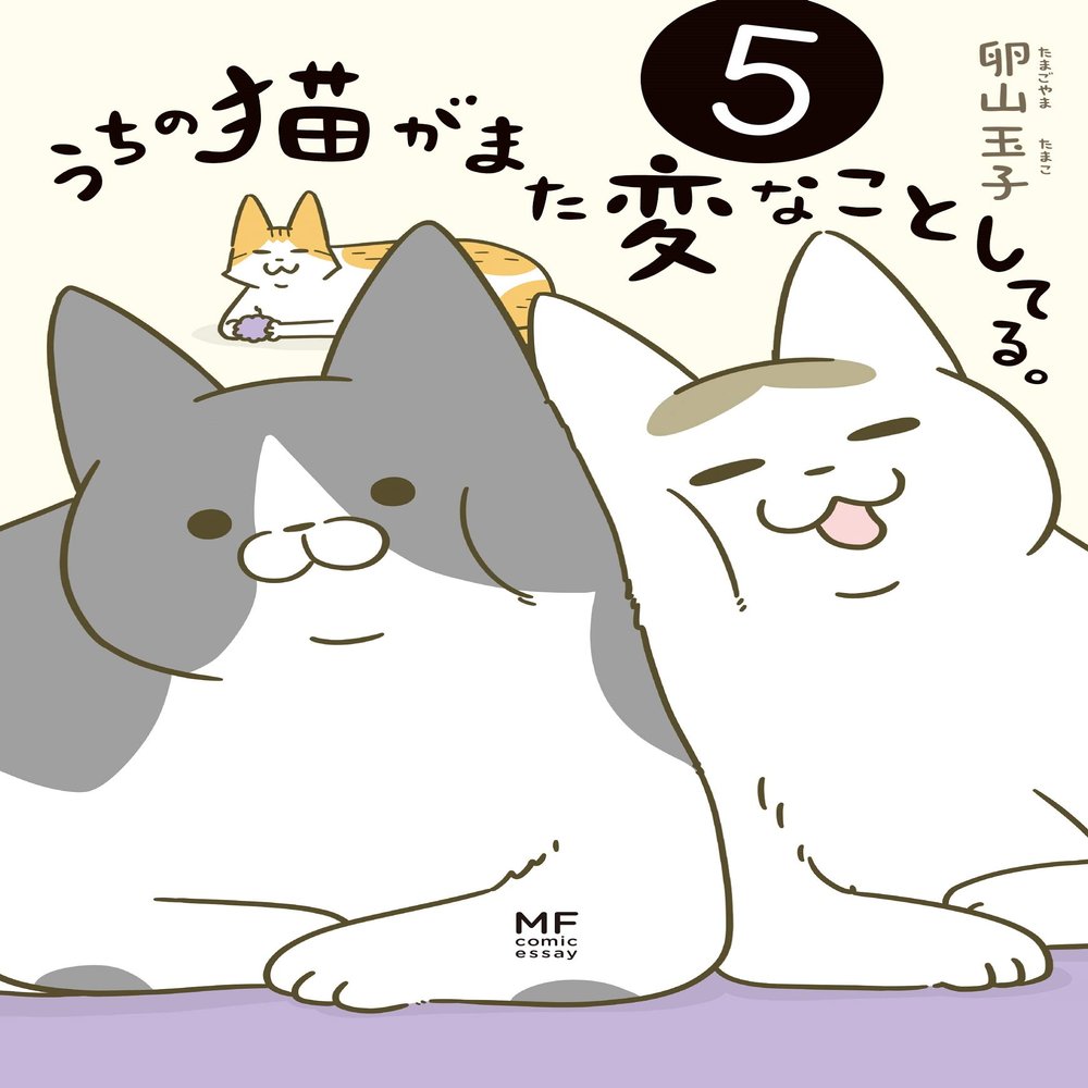 5 ()