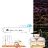  8 () view 3