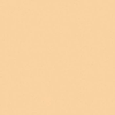 Rosco Cinegel #3442 Filter, 20x24" Sheet, Half Straw 1/2 CTS