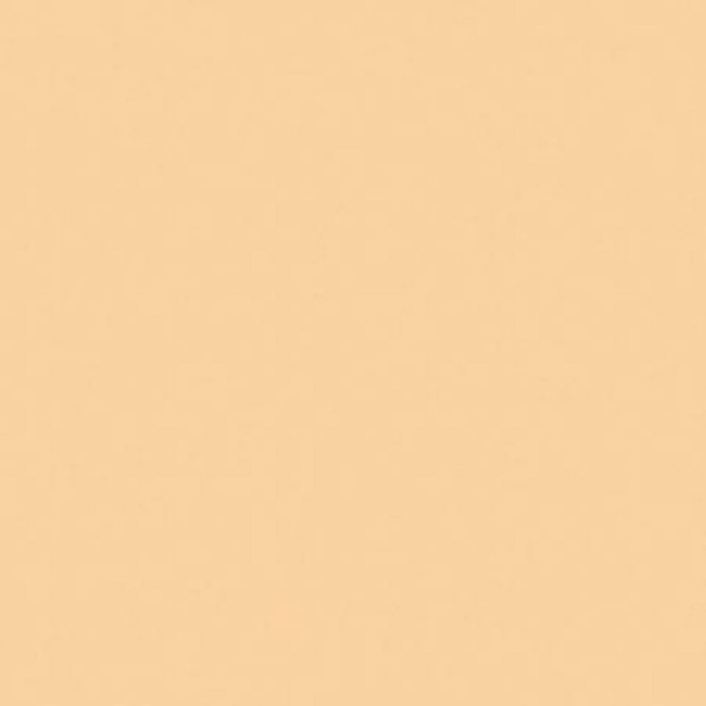 Rosco Cinegel #3442 Filter, 20x24" Sheet, Half Straw 1/2 CTS