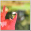 Hyla Optics New 0.45x High Grade Wide Angle Conversion Lens (30mm) for Sony Handycam DCR-DVD308 view 3