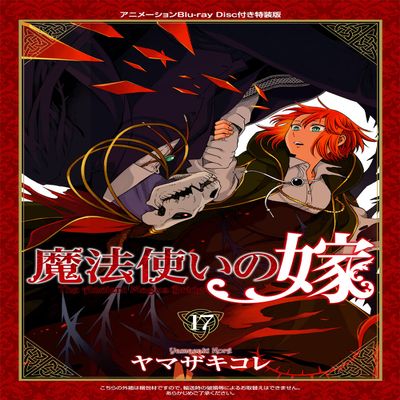17(BD) ( )