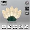 Wintergreen Lighting 25 C7 Warm White LED Christmas Lights  17 ft Indoor Outdoor String Lights for Trees, Rooflines, and Events view 4
