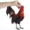 Standing Multicolored Feathered Artificial Rooster with Attached Wires view 2