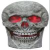 Seasonal Visions Skull Light Sound view 1