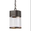 Z-Lite 562CHB-DBZ-LED 1 Light Outdoor Chain Light view 1