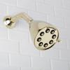 Speakman S-2251-PB Signature Icon Anystream High Pressure Adjustable Solid Brass Shower Head, Polished Brass view 2