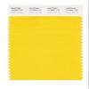 PANTONE SMART 13-0859X Color Swatch Card, Lemon Chrome view 1