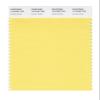 PANTONE SMART 12-0736X Color Swatch Card, Lemon Drop view 1
