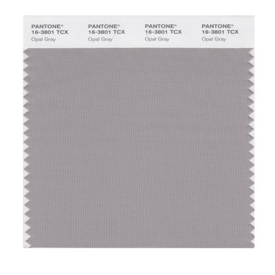 PANTONE SMART 16-3801X Color Swatch Card, Opal Gray