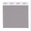 PANTONE SMART 16-3801X Color Swatch Card, Opal Gray view 1
