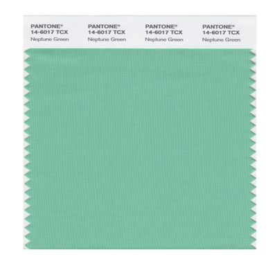 PANTONE SMART 14-6017X Color Swatch Card, Neptune Green