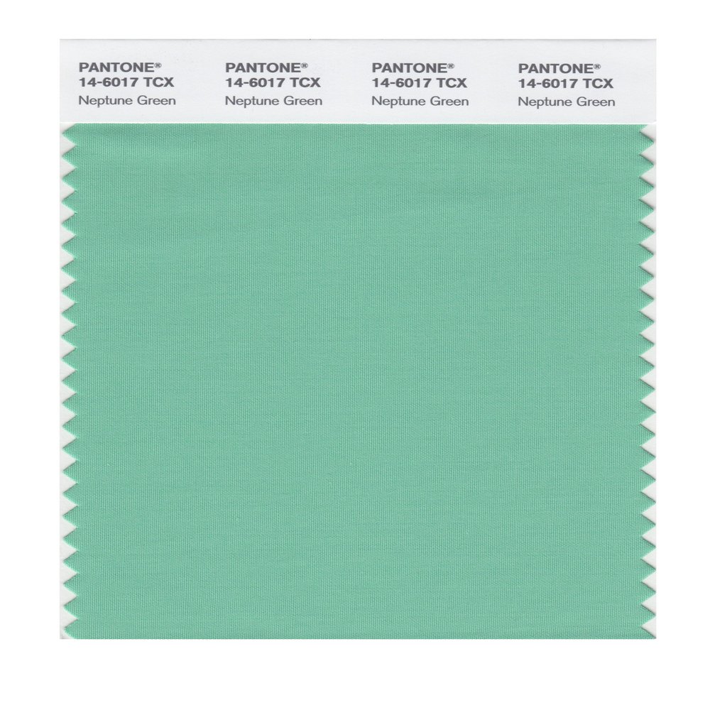 PANTONE SMART 14-6017X Color Swatch Card, Neptune Green