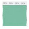 PANTONE SMART 14-6017X Color Swatch Card, Neptune Green view 1