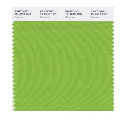 PANTONE SMART 15-0343X Color Swatch Card, Greenery