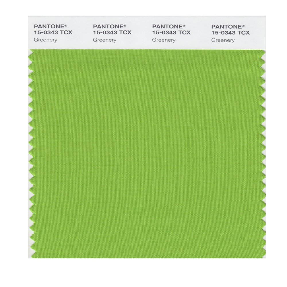 PANTONE SMART 15-0343X Color Swatch Card, Greenery