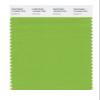 PANTONE SMART 15-0343X Color Swatch Card, Greenery view 1