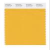 PANTONE SMART 15-1049X Color Swatch Card, Artisan's Gold view 1