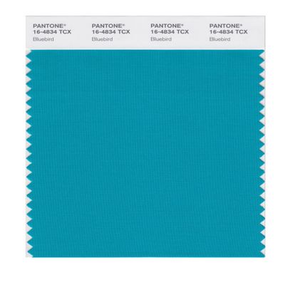 PANTONE SMART 16-4834X Color Swatch Card, Bluebird