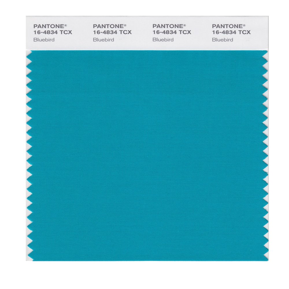 PANTONE SMART 16-4834X Color Swatch Card, Bluebird
