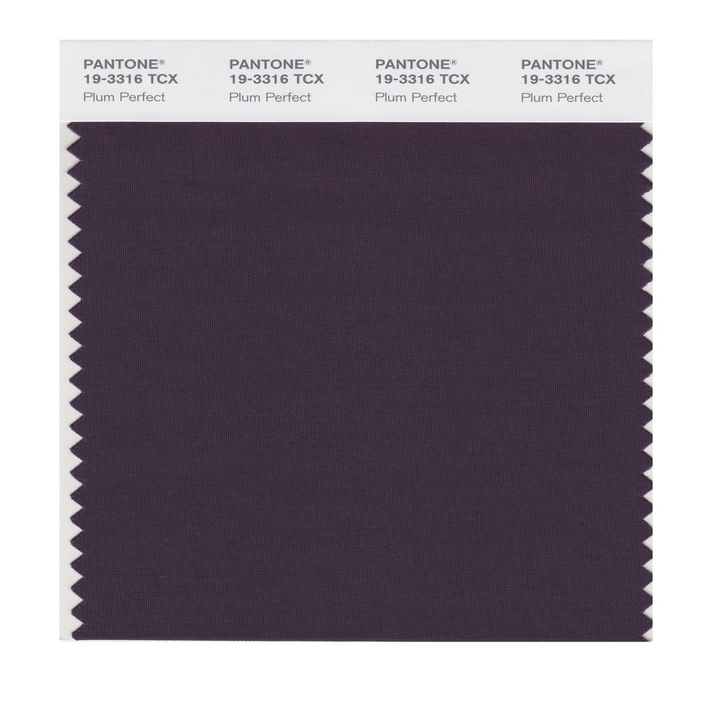 PANTONE SMART 19-3316X Color Swatch Card, Plum Perfect