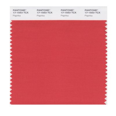 PANTONE SMART 17-1553X Color Swatch Card, Paprika
