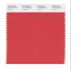 PANTONE SMART 17-1553X Color Swatch Card, Paprika view 1