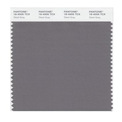 PANTONE SMART 18-4005X Color Swatch Card, Steel Gray
