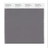 PANTONE SMART 18-4005X Color Swatch Card, Steel Gray view 1
