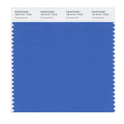 PANTONE SMART 18-4141X Color Swatch Card, Campanula