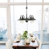 Z-Lite 5 Light Chandelier 613-5-OB view 2