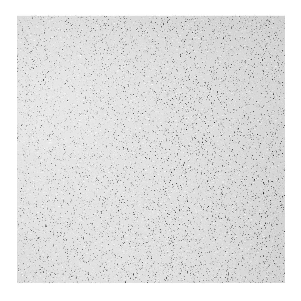 Genesis 2ft x 2ft Printed Pro Ceiling Tiles - Easy Drop-In Installation  Waterproof, Washable and Fire-rated - High-Grade PVC to Prevent Breakage (One Tile)