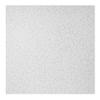 Genesis 2ft x 2ft Printed Pro Ceiling Tiles - Easy Drop-In Installation  Waterproof, Washable and Fire-rated - High-Grade PVC to Prevent Breakage (One Tile) view 1