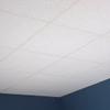 Genesis 2ft x 2ft Printed Pro Ceiling Tiles - Easy Drop-In Installation  Waterproof, Washable and Fire-rated - High-Grade PVC to Prevent Breakage (One Tile) view 2
