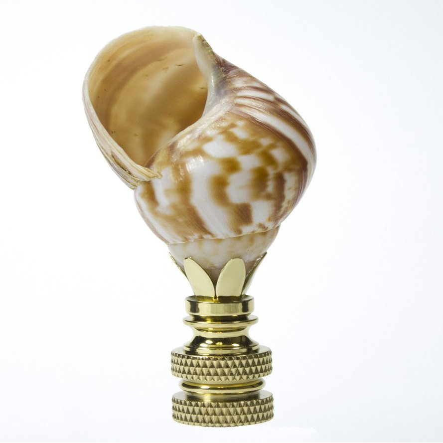 Snail Sea Shell Lamp Finial with Polished Brass Base 3.25" h