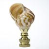 Snail Sea Shell Lamp Finial with Polished Brass Base 3.25" h view 1