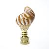 Snail Sea Shell Lamp Finial with Polished Brass Base 3.25" h view 3