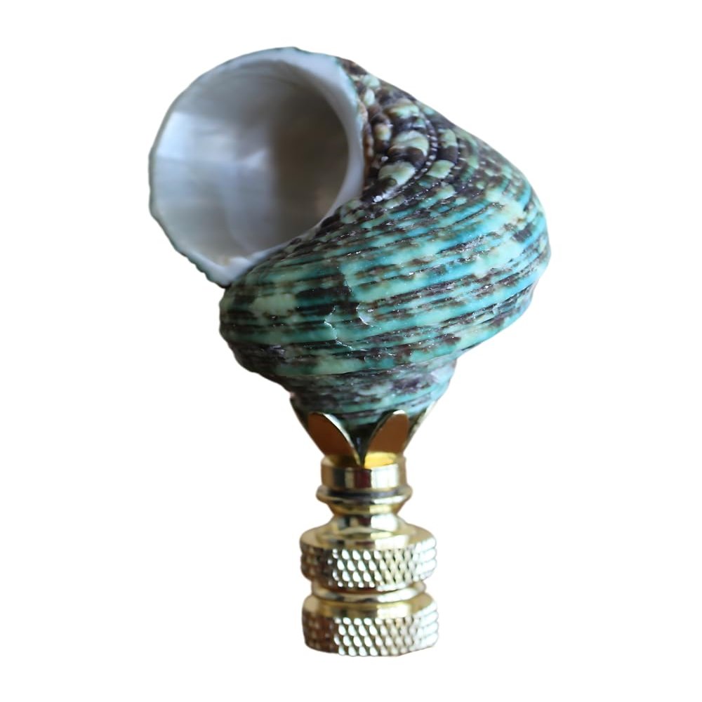 Sea Foam Turbo Sea Shell Lamp Finial Polished Chain 3" h