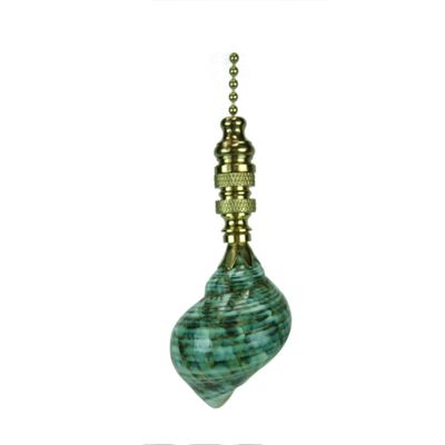 Sea FoamTurbo Sea Shell Ceiling Fan Pull, 3"h with 12" Polished Brass Chain