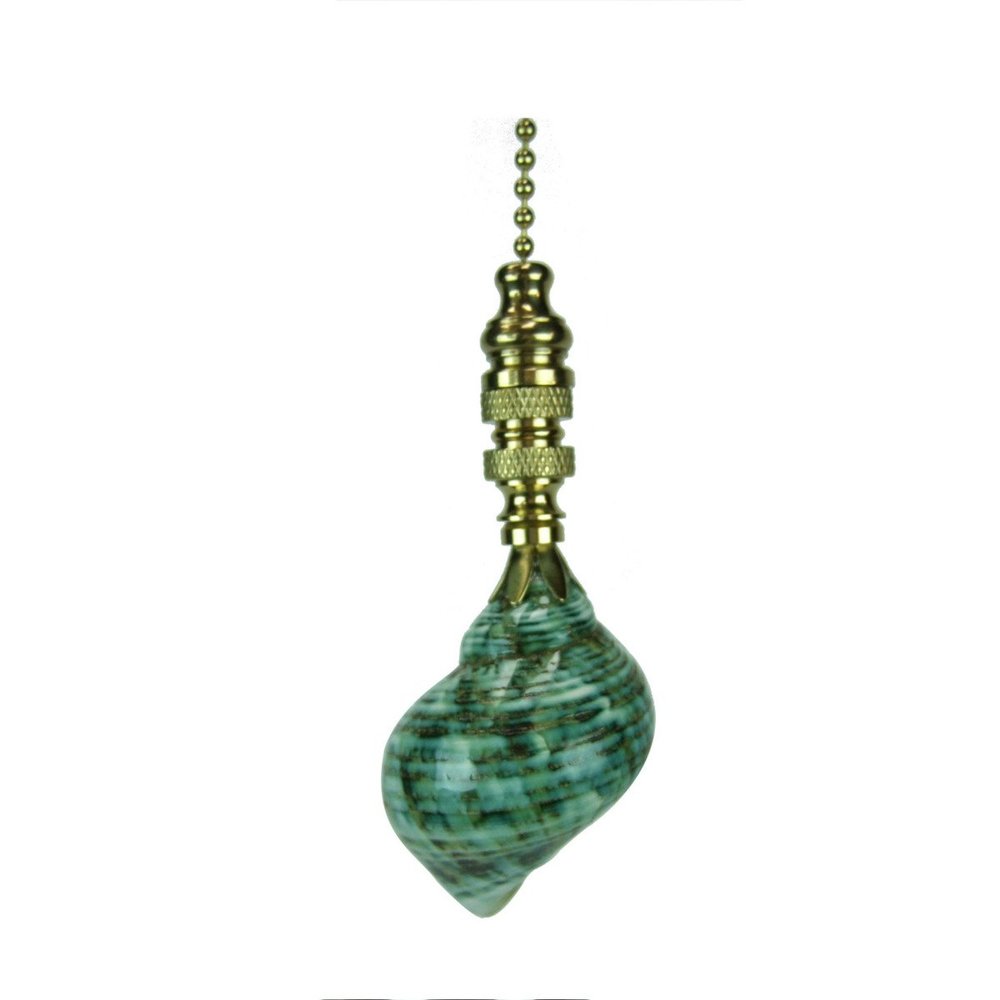 Sea FoamTurbo Sea Shell Ceiling Fan Pull, 3"h with 12" Polished Brass Chain
