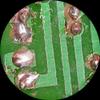 AmScope SM-4TZ-144-5MT Trinocular Stereo Microscope, WF10x Eyepieces, 3.5X-90X Magnification, 0.7X-4.5X Objective Power, 0.5X and 2.0X Barlow Lenses, 144-Bulb Ring-Style LED Light Source, Double-Arm Boom Stand, 110-240V, Includes 5MP Camera and Softw view 4