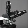 AmScope T490B-DK Compound Trinocular Microscope, WF10x and WF20x Eyepieces, 40X-2000X Magnification, Brightfield/Darkfield, Halogen Illumination, Abbe Condenser, Double-Layer Mechanical Stage, Sliding Head, High-Resolution Optics view 4