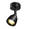 BRILLRAYDO 5W Warm White LED Ceiling Light Picture Spot Lamp Fixture Painted Black view 1