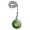 GRAPHICS & MORE Hedgehog on Green Ceiling Fan and Light Pull Chain view 1