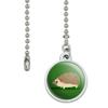 GRAPHICS & MORE Hedgehog on Green Ceiling Fan and Light Pull Chain view 2