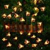 DINOWIN Honey Bees Lights, Bee String Lights Solar Power Honeybee Fairy String Lights Waterproof 30 LED for Outdoor Garden Summer Party Wedding Xmas Decoration (Warm White) view 2