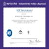 Home Master Whole House Three Stage Water Filtration System with Fine Sediment, Iron and Carbon, Blue view 4